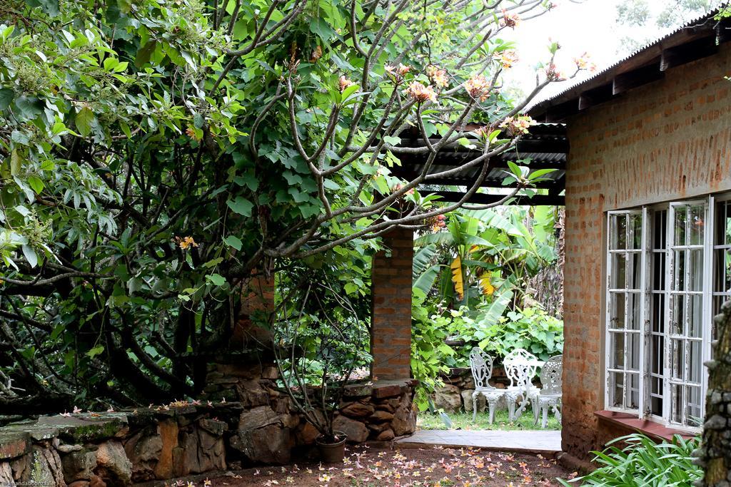 Down Gran'S Self-Catering Cottage Lobamba エクステリア 写真